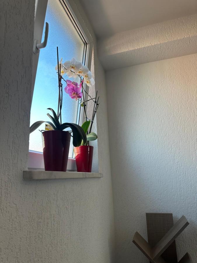 Spacious 3-Bedroom Condo Next To City Center プリシュティナ エクステリア 写真